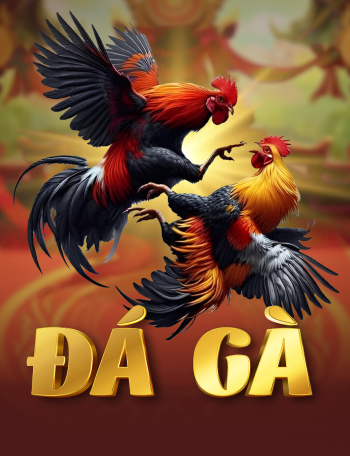 Đá Gà kts6999